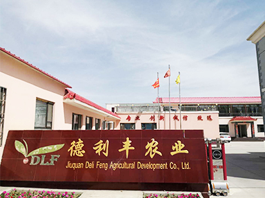 甘肃省酒泉市德利丰农...